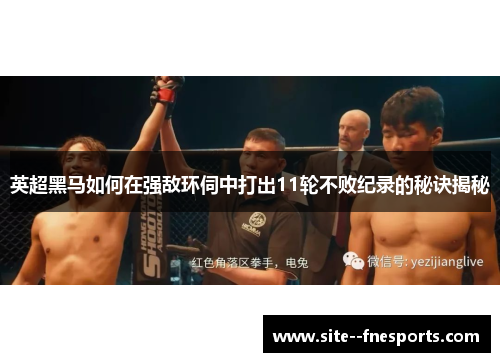 英超黑马如何在强敌环伺中打出11轮不败纪录的秘诀揭秘 英超黑马如何在强敌环伺中打出11轮不败纪录的秘诀揭秘